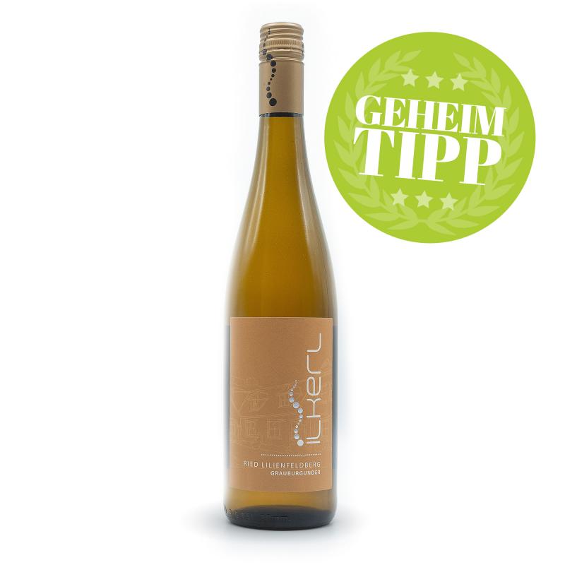 Wein online Ratgeber, welchen Wein kaufen, Wein Beratung