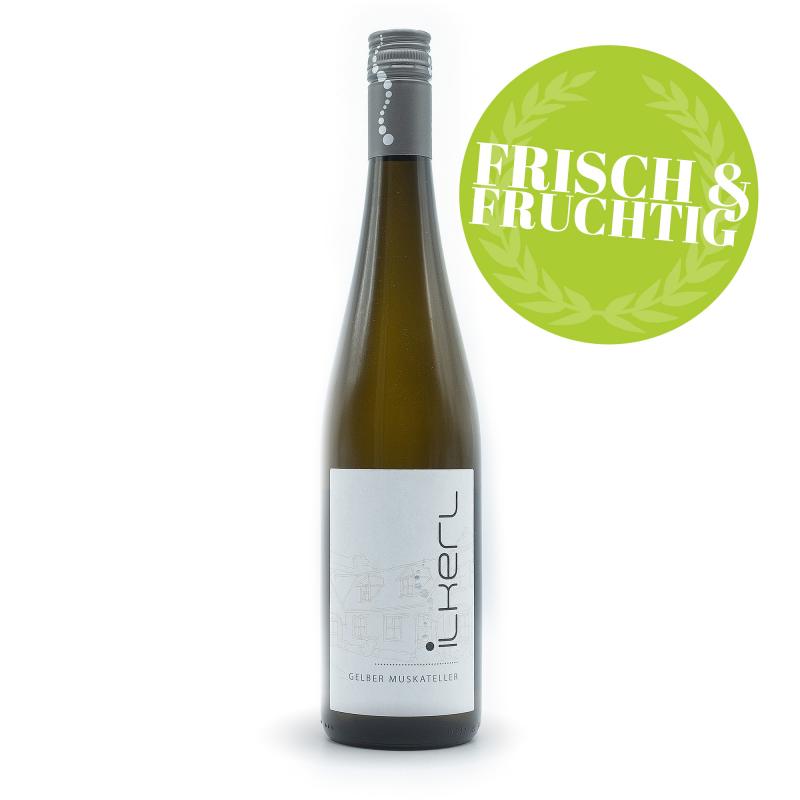 Wein online Ratgeber, welchen Wein kaufen, Wein Beratung